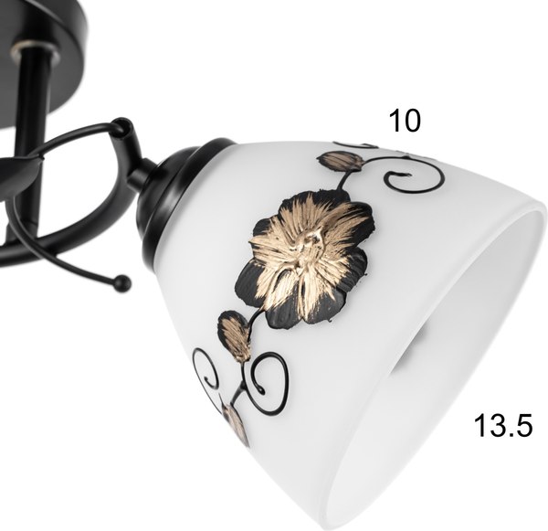 Потолочный светильник BayerLux Арья 9920209