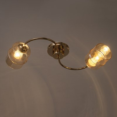 Потолочный светильник BayerLux Фокс 9920193