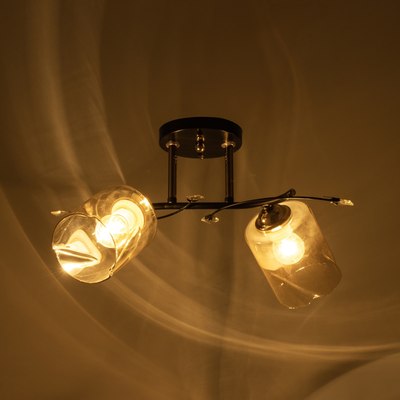 Потолочный светильник BayerLux Артемис 9920191