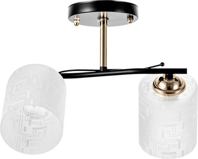 Потолочный светильник BayerLux Ассела 9920187 - фото