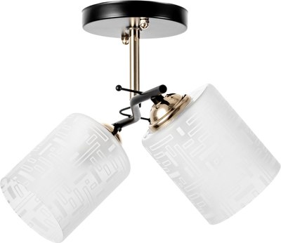 Потолочный светильник BayerLux Ассела 9920187