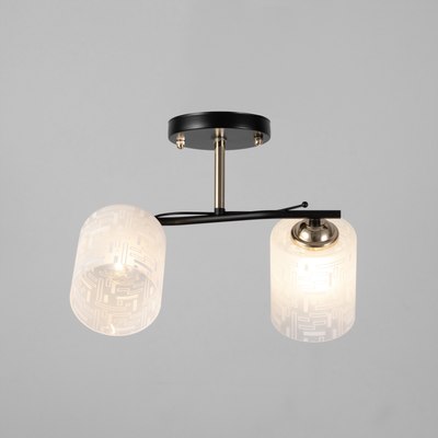 Потолочный светильник BayerLux Ассела 9920187