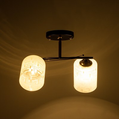 Потолочный светильник BayerLux Ассела 9920187