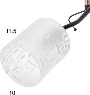 Потолочный светильник BayerLux Ассела 9920187