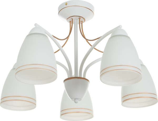 Люстра BayerLux Фрэнликс 9215116 - фото