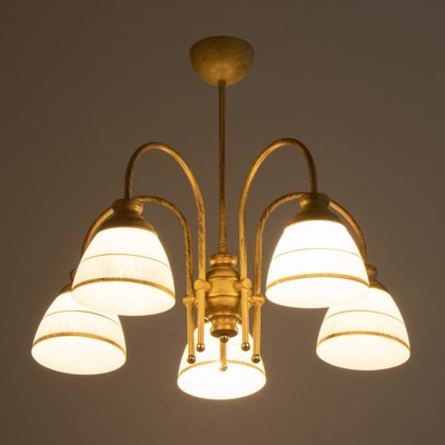 Люстра BayerLux Дэфия 9214964