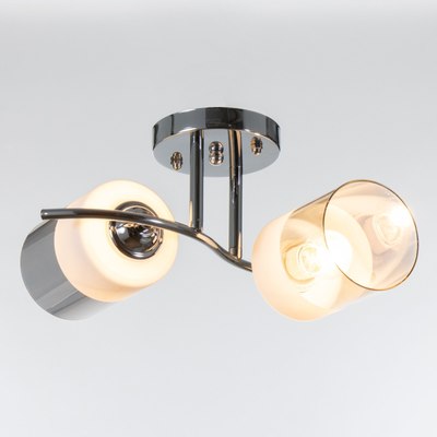 Потолочный светильник BayerLux 1110/2CR / 5443342