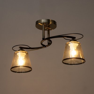 Потолочный светильник BayerLux Каэль 9920199