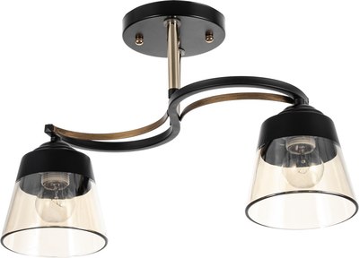 Потолочный светильник BayerLux Рори 9920205 - фото