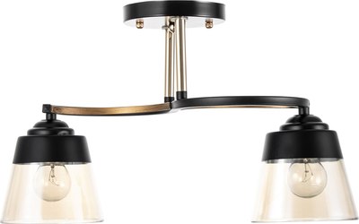 Потолочный светильник BayerLux Рори 9920205