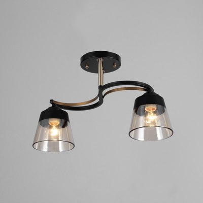 Потолочный светильник BayerLux Рори 9920205