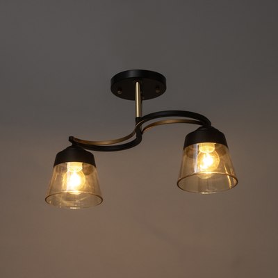 Потолочный светильник BayerLux Рори 9920205