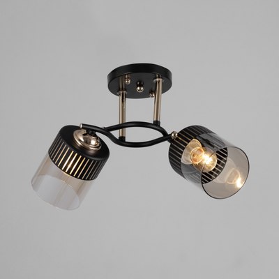 Потолочный светильник BayerLux Галион 9920232