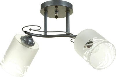 Потолочный светильник BayerLux 1082/2SL / 5443290 - фото