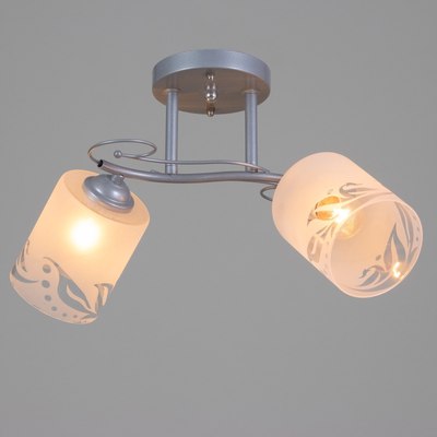 Потолочный светильник BayerLux 1082/2SL / 5443290