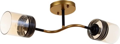 Потолочный светильник BayerLux Синна 9717716 - фото