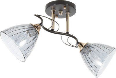 Потолочный светильник BayerLux Сальма 9643958 - фото