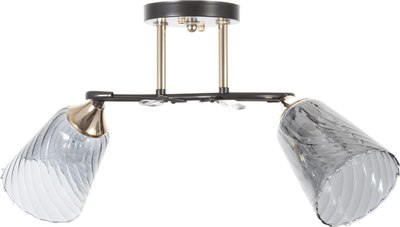 Потолочный светильник BayerLux Рони 9643961 - фото