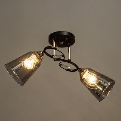 Потолочный светильник BayerLux Рони 9643961