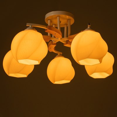 Люстра BayerLux Антер 9408257