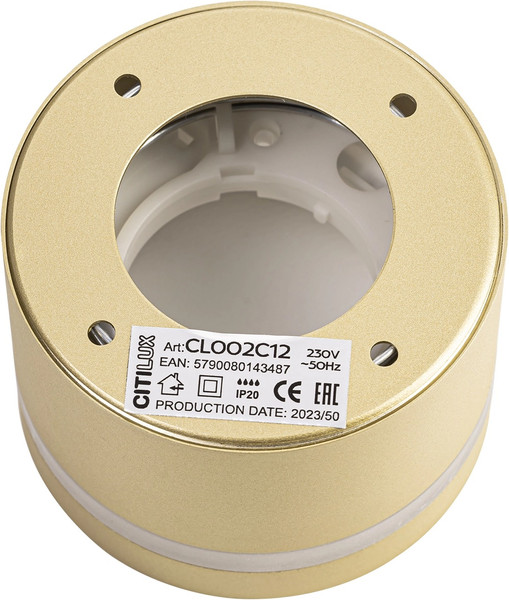 Потолочный светильник Citilux Hardy CL002C12