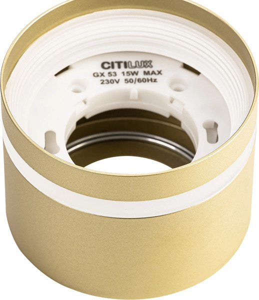 Потолочный светильник Citilux Hardy CL002C12