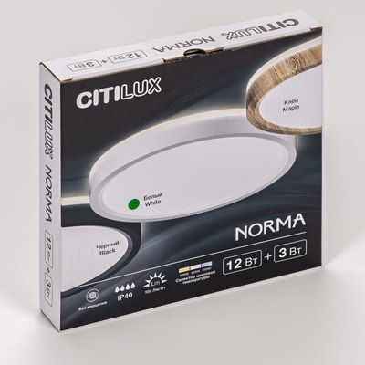 Потолочный светильник Citilux Norma CL748180