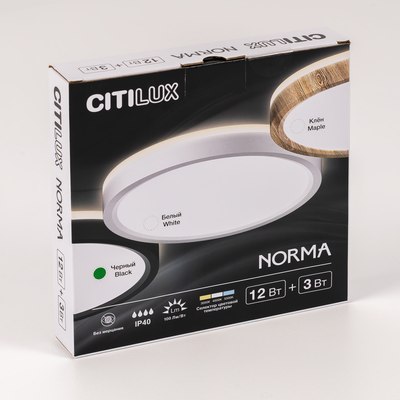 Потолочный светильник Citilux Norma CL748181