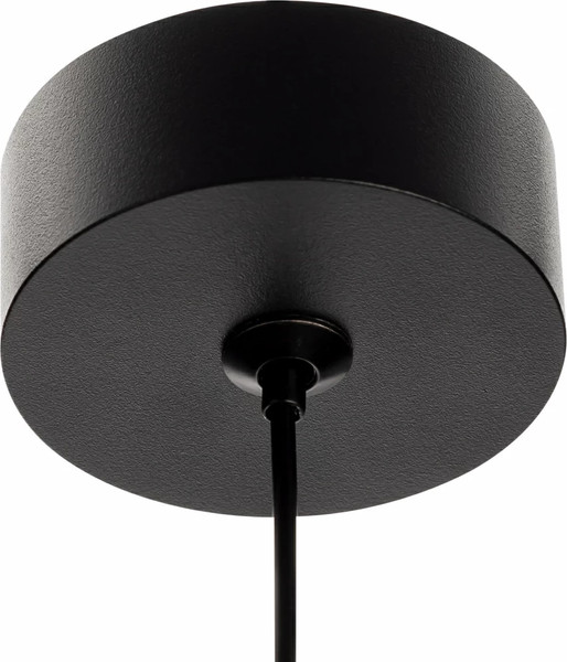 Потолочный светильник Citilux Hardy CL002P11