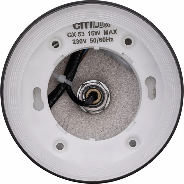 Потолочный светильник Citilux Hardy CL002P11