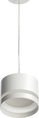 Потолочный светильник Citilux Hardy CL002P10