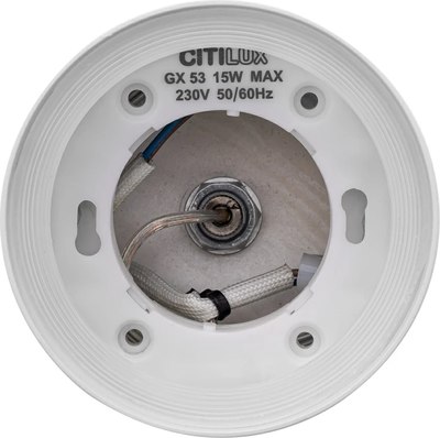 Потолочный светильник Citilux Hardy CL002P10