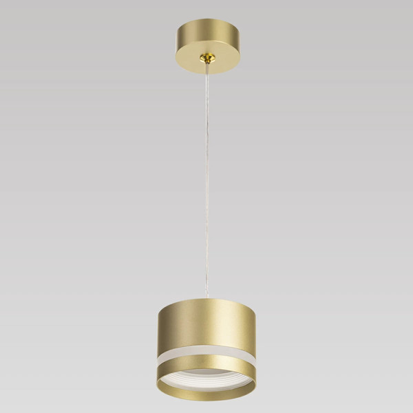 Потолочный светильник Citilux Hardy CL002P12