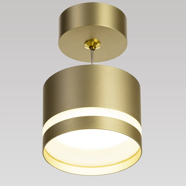 Потолочный светильник Citilux Hardy CL002P12