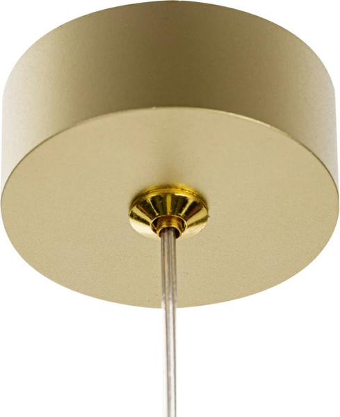 Потолочный светильник Citilux Hardy CL002P12