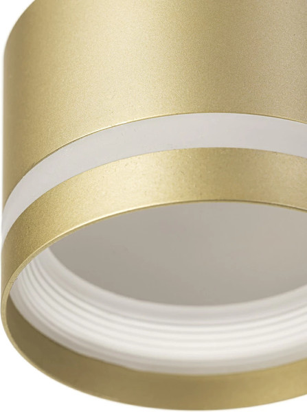 Потолочный светильник Citilux Hardy CL002P12