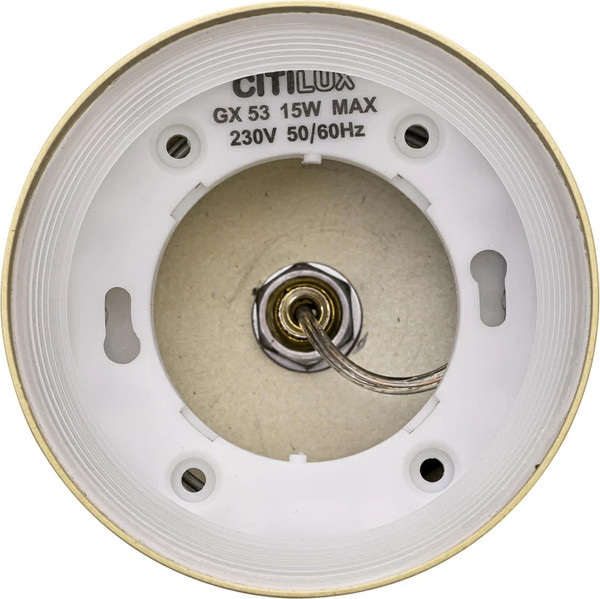 Потолочный светильник Citilux Hardy CL002P12