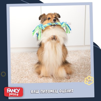 Игрушка для собак Fancy Pets Канат / FPKNT01