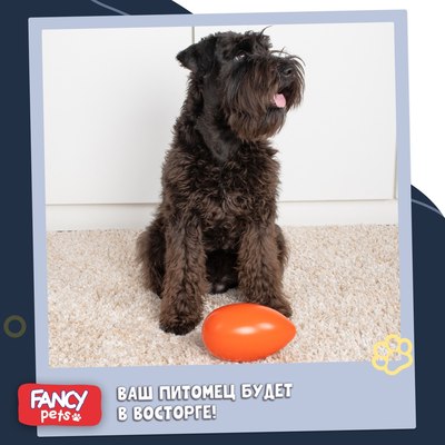 Игрушка для собак Fancy Pets Неуловимое яйцо / FPPL1