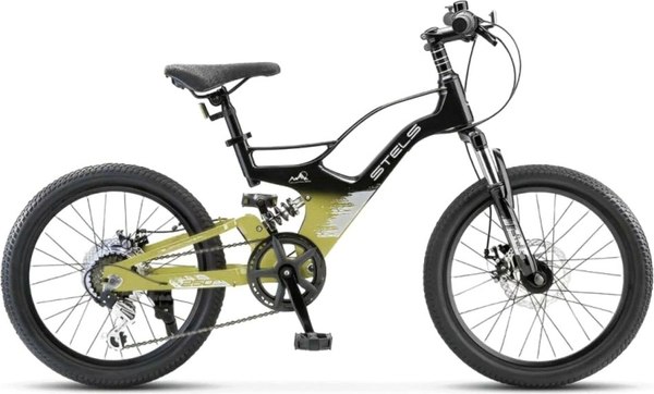 Детский велосипед STELS Leader-250 MD 20 - фото