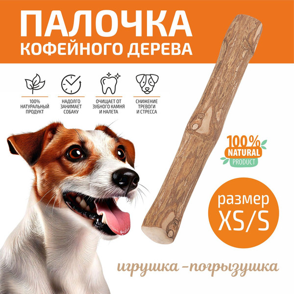 Игрушка для собак Рыжий кот Палочка кофейного дерева / 108054