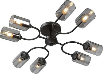 Люстра Vitaluce V2823-1/8PL - фото