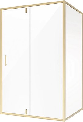 Душевой уголок Niagara NG-43-10AG-A110G 100x110x195 - фото