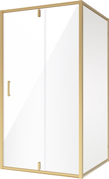 Душевой уголок Niagara NG-43-10AG-A80G 100x80x195 - фото