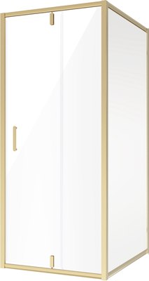 Душевой уголок Niagara NG-43-9AG-A110G 90x110x195 - фото