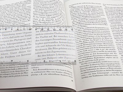 Лупа Френеля Veber 190x65 / 22703