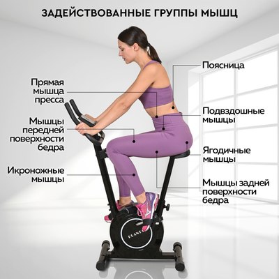 Велотренажер PLANTA FD-BIKE-100