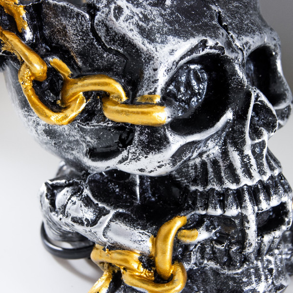 Декоративное освещение Risalux Плазменный шар Череп с цепью 1379705