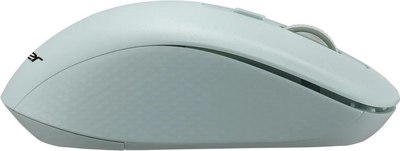 Мышь Acer OMR309 / ZL.MCECC.030