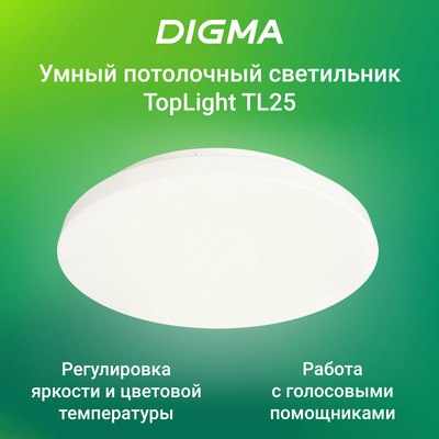 Потолочный светильник Digma TopLight TL25